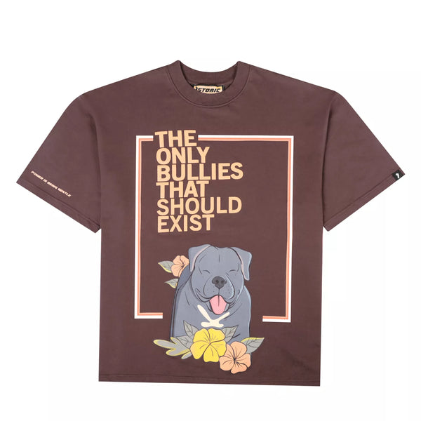 Istoric "Bully" V2 – Vintage Brown